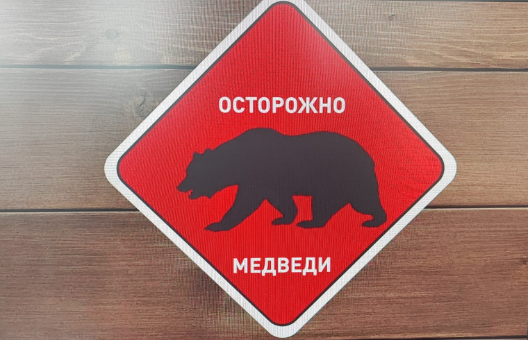 Осторожно медведи!. Осторожно медведи!.